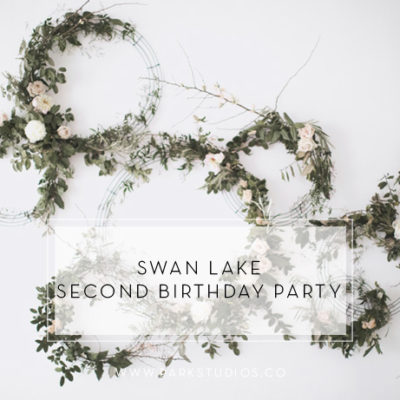 Swan Lake Second Birthday Party