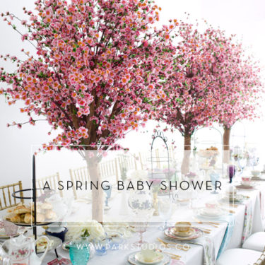 A Spring Baby Shower Feature Image