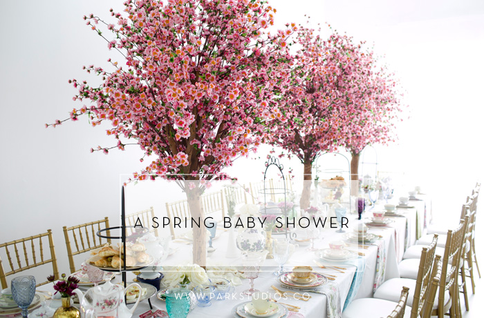 A Spring Baby Shower Feature Image